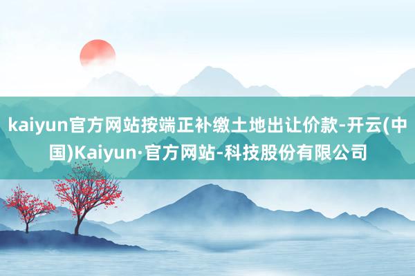 kaiyun官方网站按端正补缴土地出让价款-开云(中国)Kaiyun·官方网站-科技股份有限公司