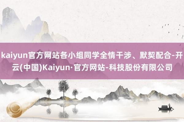 kaiyun官方网站各小组同学全情干涉、默契配合-开云(中国)Kaiyun·官方网站-科技股份有限公司