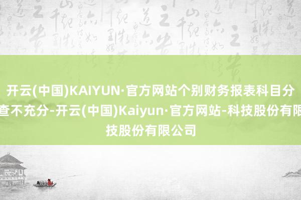 开云(中国)KAIYUN·官方网站个别财务报表科目分析核查不充分-开云(中国)Kaiyun·官方网站-科技股份有限公司