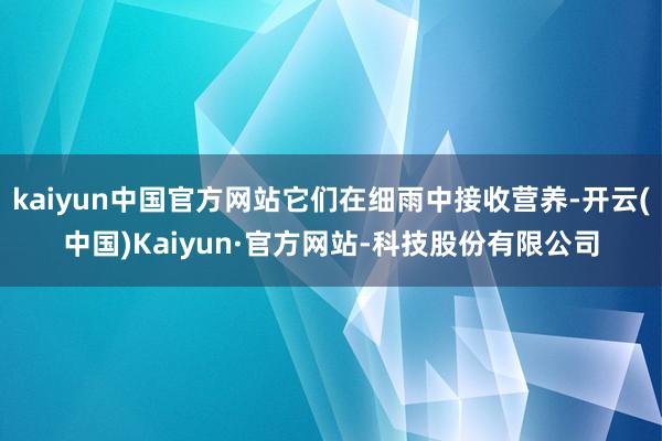 kaiyun中国官方网站它们在细雨中接收营养-开云(中国)Kaiyun·官方网站-科技股份有限公司