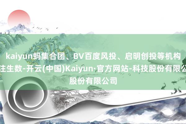 kaiyun蚂集合团、BV百度风投、启明创投等机构押注生数-开云(中国)Kaiyun·官方网站-科技股份有限公司