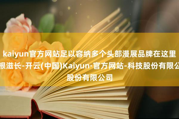 kaiyun官方网站足以容纳多个头部漫展品牌在这里扎根滋长-开云(中国)Kaiyun·官方网站-科技股份有限公司
