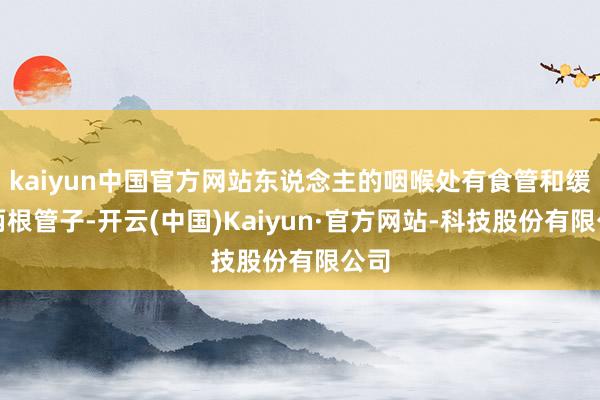 kaiyun中国官方网站东说念主的咽喉处有食管和缓管两根管子-开云(中国)Kaiyun·官方网站-科技股份有限公司